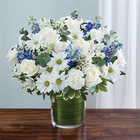 95409m_HR_fd_05_25_17