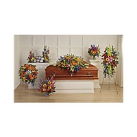 TeleflorasColorfulReflectionsCollection